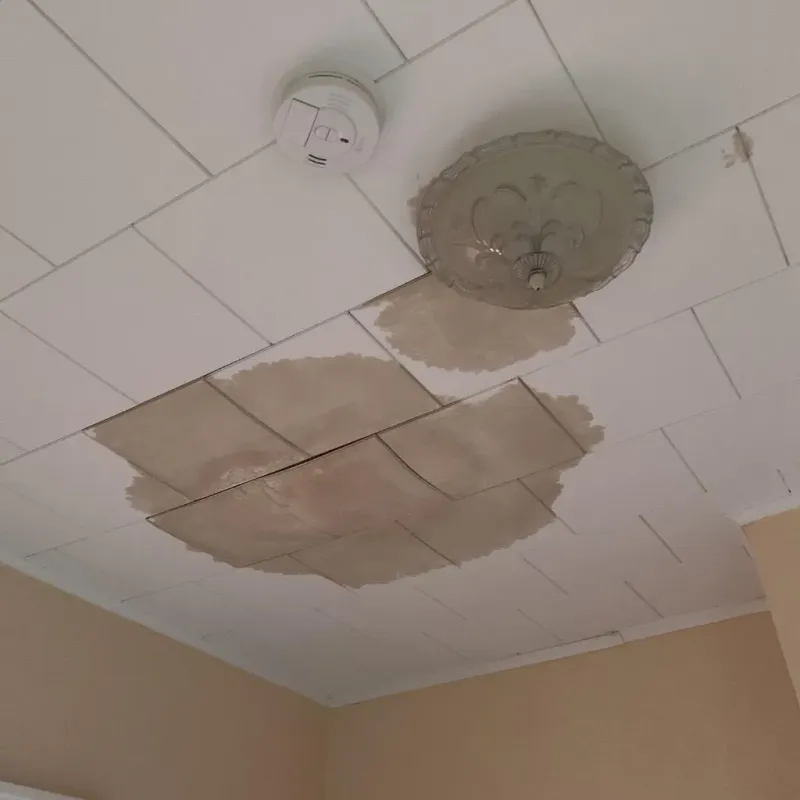 Ceiling Water Damage Repair in Daniels, WV