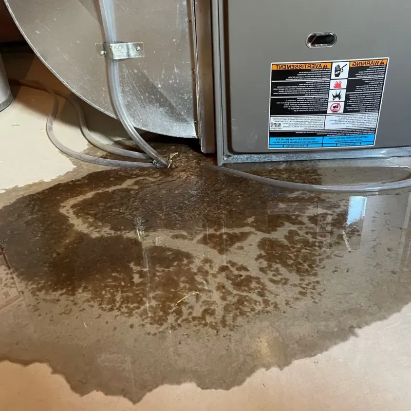 Pipe Burst and Leak Restoration in Daniels, WV