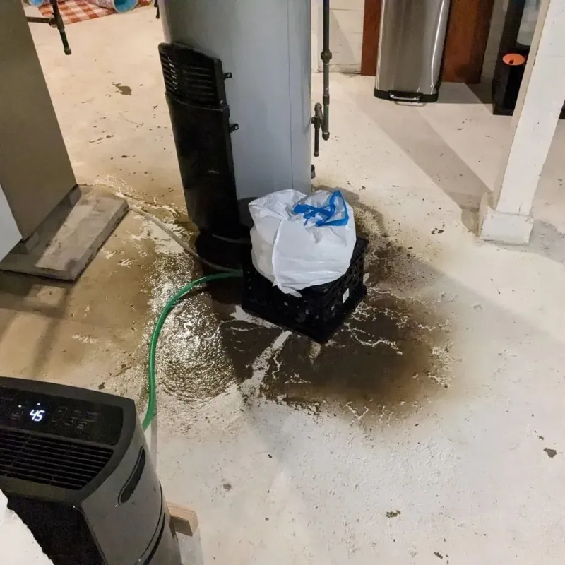 Sewage Backup Cleanup Service in Daniels, WV